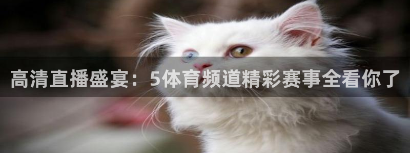 360直播足球免费观看