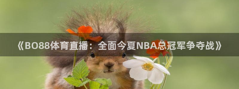 足球360直播