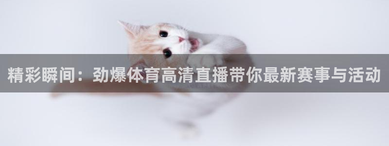 360直播足球免费观看