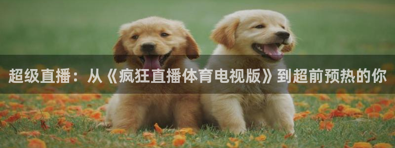 360直播吧足球比赛